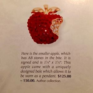 Suzanne Bjontegard Pin Pendant Brooch